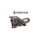 Pentair OptiFlo 1HP Horizontal Above Ground Pool Pump with 3' Cord and Twist Lock Plug 115V | 348199