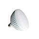 J&J Electronics PureWhite Pro LED Pool Lamp | 120V Cool White Equivalent to 500W | LPL-PRHO-CW-120 26810