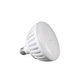 J&J Electronics PureWhite Pro LED Pool Lamp | 120V Warm White Equivalent to 300W | LPL-PR2-WW-120 26611