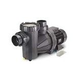 Speck Pumps 95-X Single Speed Pool Pump | 7.5 HP 3 Phase | IG273-1750F-000