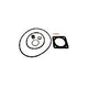 Seal & Gasket Kit for Sta-Rite Max-E-Glas and Dura-Glas Pump | GO-KIT6-9