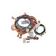 Raypak Wire Harness | IID Units | 009490F