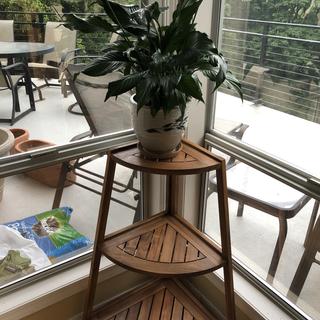 Le Petit Jardin Wooden 3-Shelf Indoor-Outdoor Plant Stand - #33R43 ...
