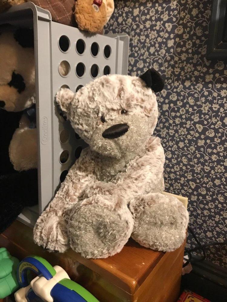 giving bear stuffed animal