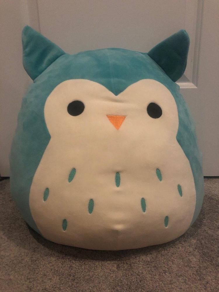 squishmallow teal owl