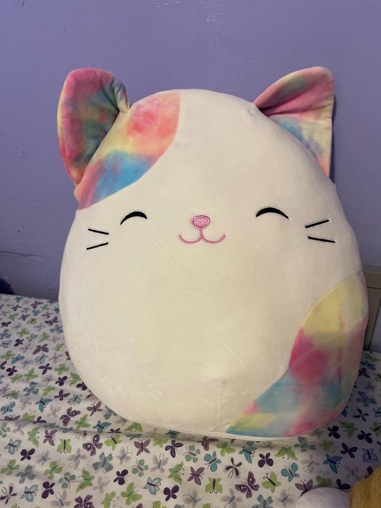 risa the cat squishmallow