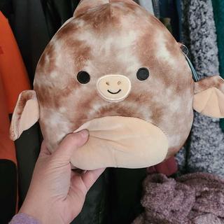 edmund pterodactyl squishmallow