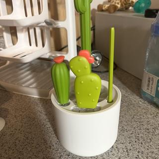 4X Boon Cacti Baby Bottle Brush Set Cleaning/Washing Nipple/Straw Brushes  Green 