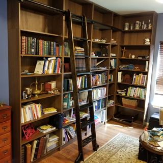 Rockler Vintage Library Ladder Steps