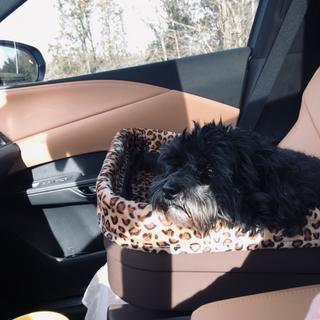 Pet Gear Bucket Seat Pet Booster, Chocolate