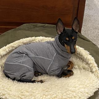 HURTTA Body Warmer Dog Bodysuit, Carbon Grey, 12S 
