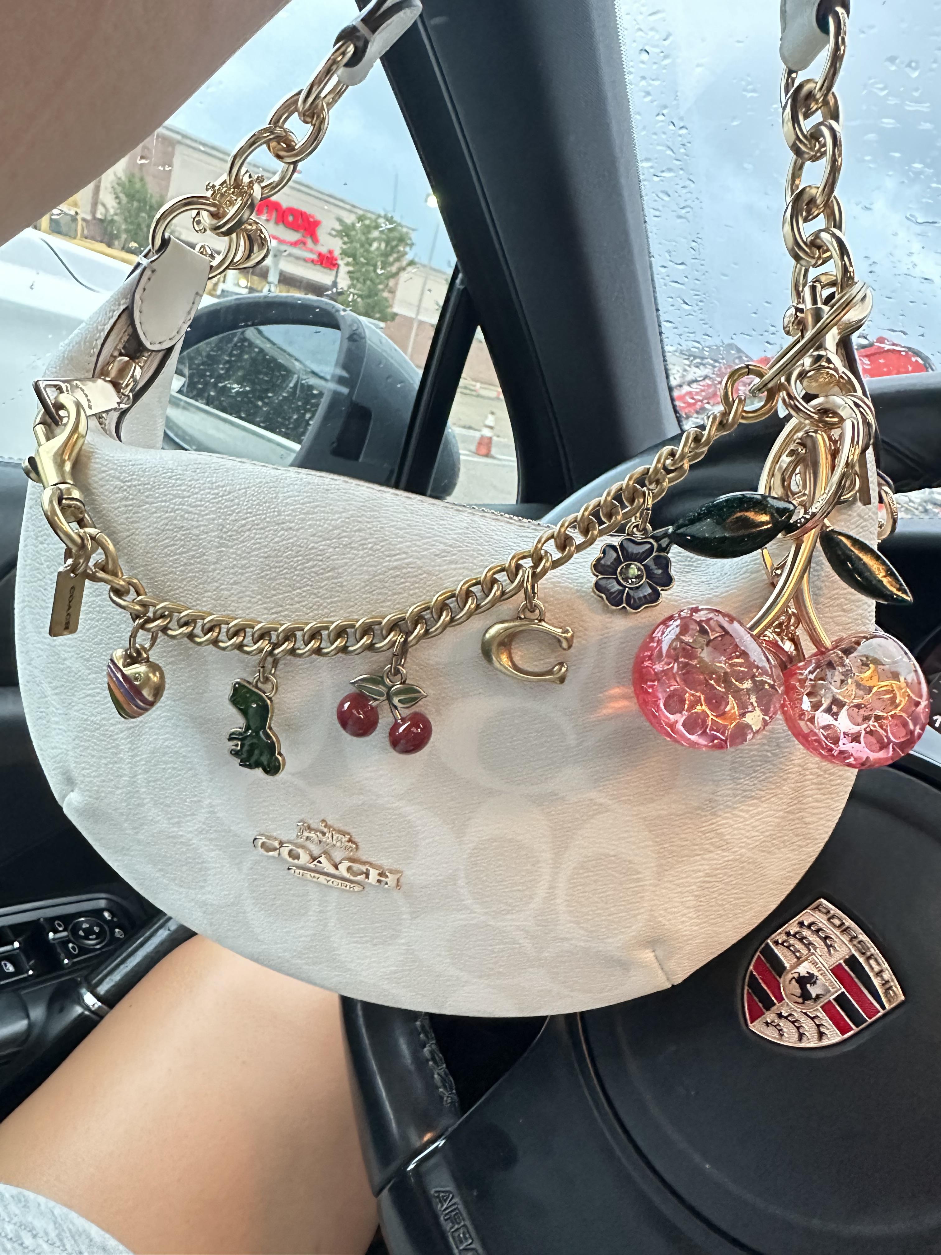 The Ultimate Guide to Motif Chain Bag Charm by Coach