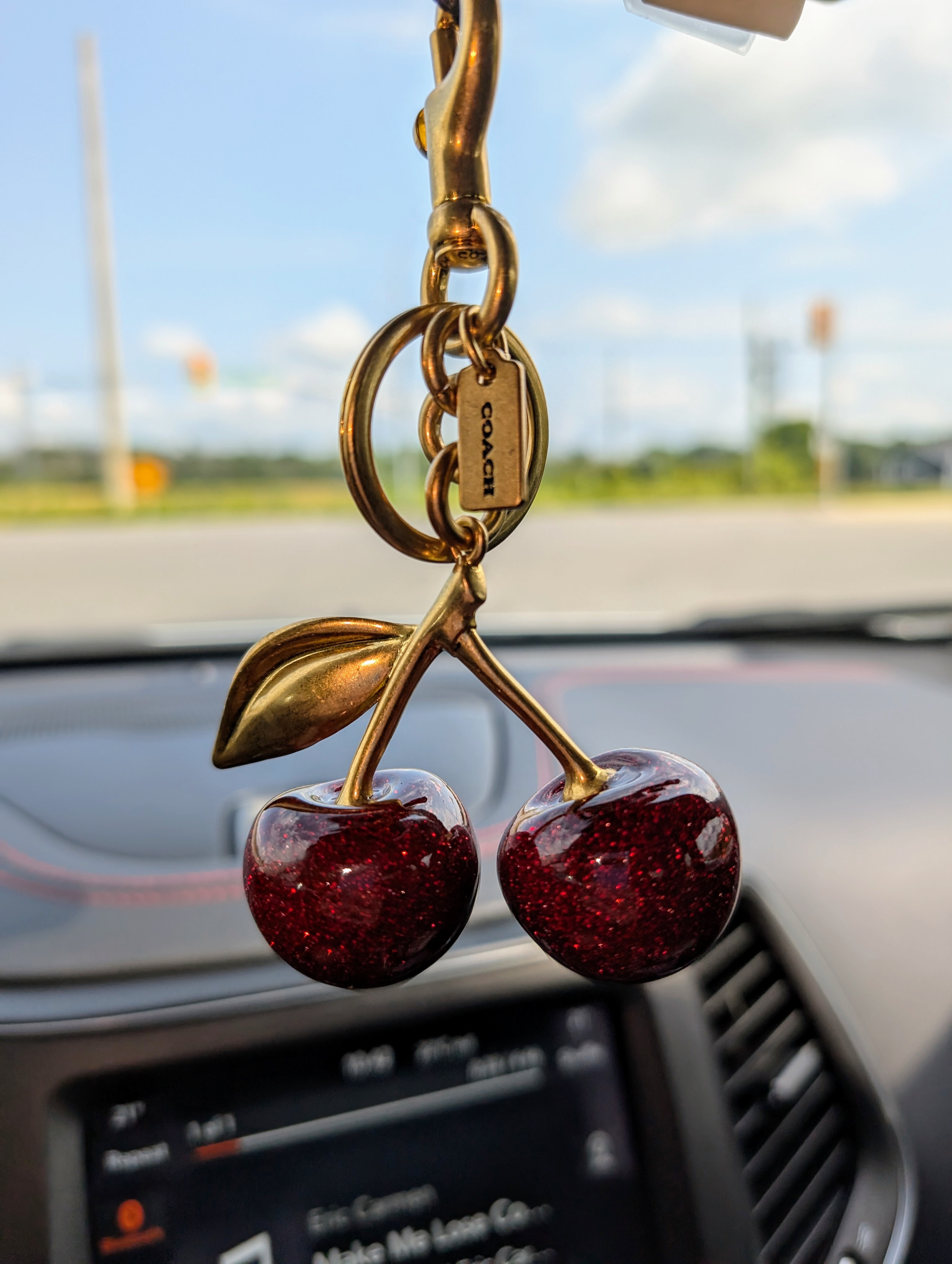 Cherry Bag Charm Coach: A Comprehensive Guide