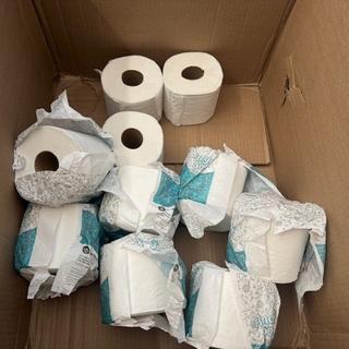 Basically, 4ct Large Roll Soft Toilet Paper