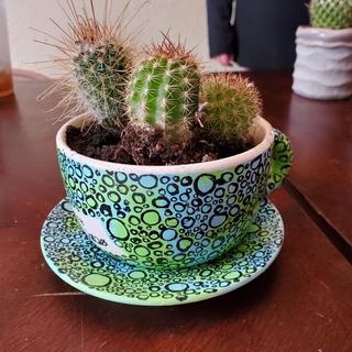 DIY Ceramic Tea Cup Planters - 6 Pc.