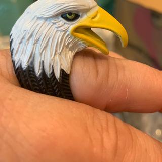 Bald eagle sale ring