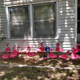 Bulk 13 1/2 x 20 Flamingo Flock Yard Signs Set - 10 Pc