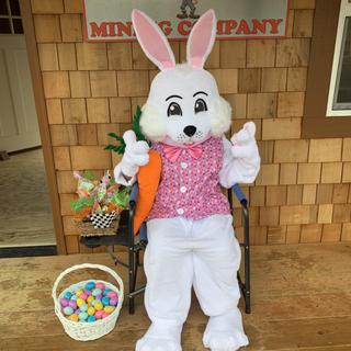 Men's Easter Bunny Costume with Vest & Carrot