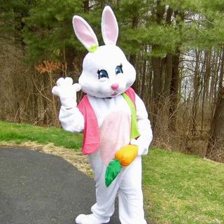 Men's Easter Bunny Costume with Vest & Carrot