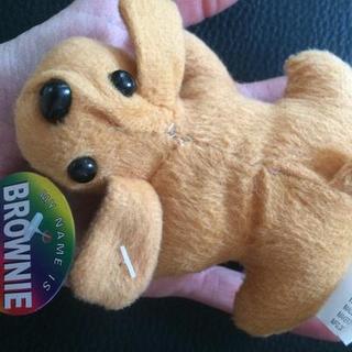 Mini Stuffed Dogs - 12 Pc.