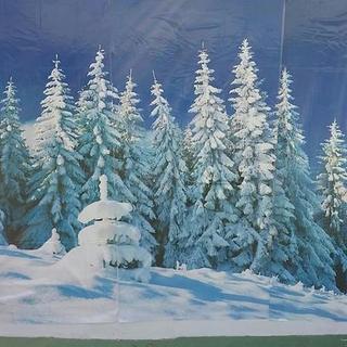 Winter Wonderland Backdrop - 2 Pc.
