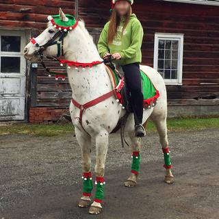 elf horse hat