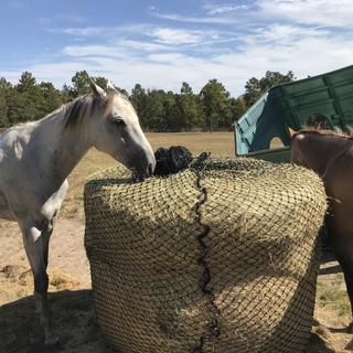 Tough 1 round bale hay outlet net