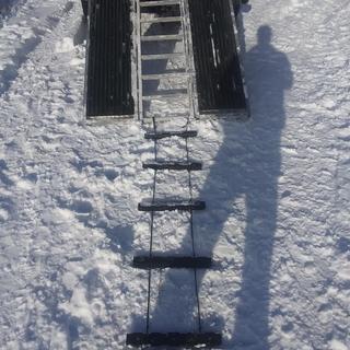 Caliber Products 13550 Traction Ladder