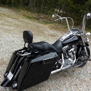 road king saddlebag guard eliminator