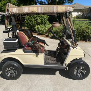 Club Car DS Golf Cart Review