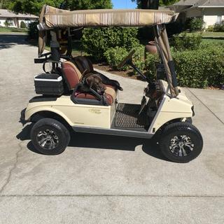 2003 Club Car Lifted DS Electric Golf - Peebles Golf Cars