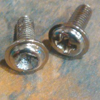 Low-quality, Silver screws. Note the striped head on the left screw.