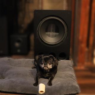 Pug shown for size reference. This subwoofer is huge!