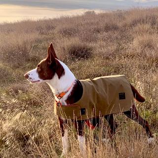 フィルソン 犬用コート SHELTER CLOTH DOG COAT FILSON 20233385