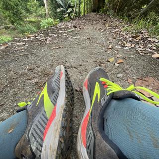 Zapatilla de trail running - Hombre - Brooks Cascadia 15 - 1103401D076