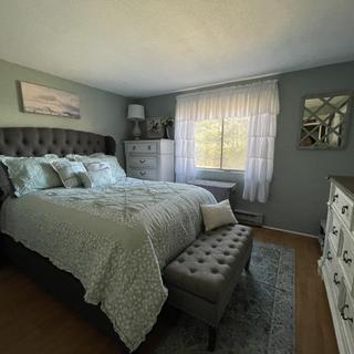 begley queen bed