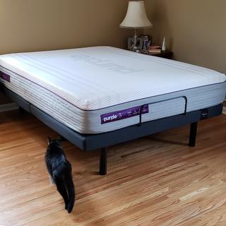 purple mattress raymour and flanigan