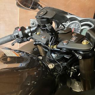 Quad Lock Motorcycle Fork Stem Mount Pro - RevZilla