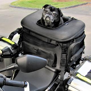 NELSON RIGG SAC MOTO POUR CHIEN ROVER PET CARRIER