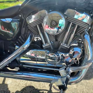 V-Twin Chrome Oval Late Style Air Cleaner for 1991-2016 Harley Sportster -  Get Lowered Cycles