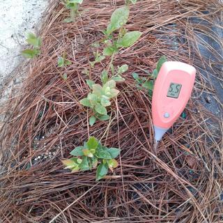 Luster Leaf PH soil tester, 10-pack – VILLAGERS