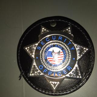 SECURITY OFFICER SILVER 7-POINT STAR BADGE