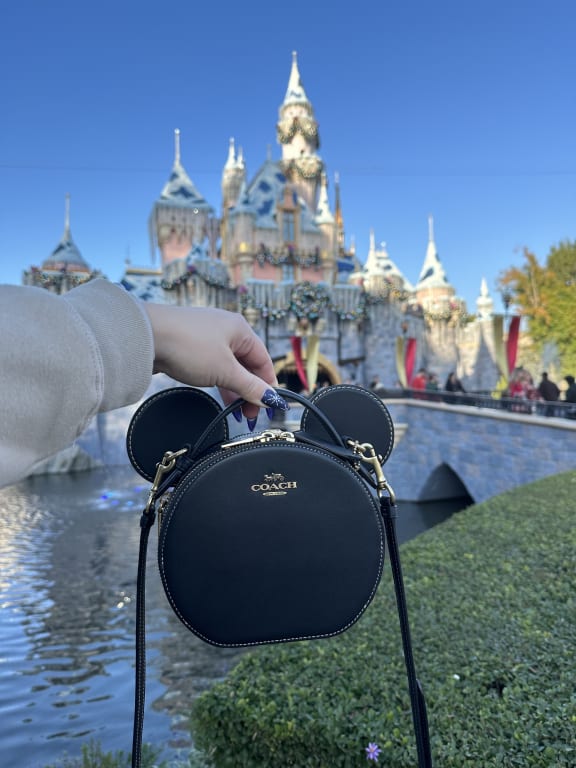 Mickey Mouse Purse: A Coach Collector's Dream