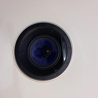 World wide 14awg wire works well on ceiling speakers