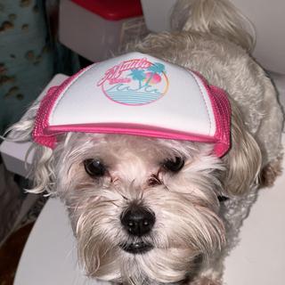 Malibu Barbie™ Pet Baseball Cap