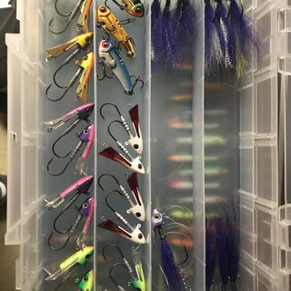 Berkley Fusion19 Snap Jigs | SCHEELS.com