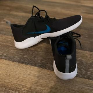 Nike Flex Experience shoes