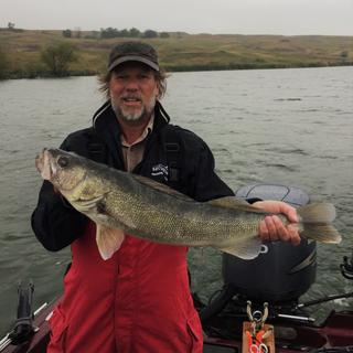 First time out with the Salmo Freediver SD12. 28 1/2 inch Walleye August 2021.