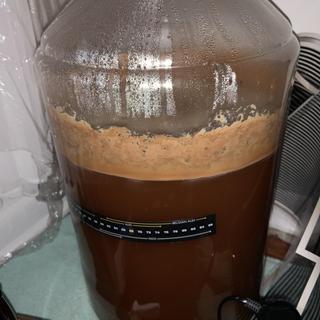Day 10 after brewing. Bottling in a few days.