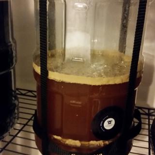 1st all grain. Baby steps, as in 2.5 gallons to start.
